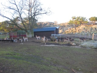slottskogen6