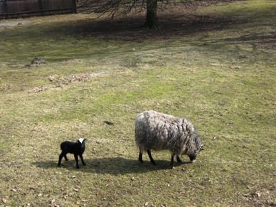 slottskogen83651