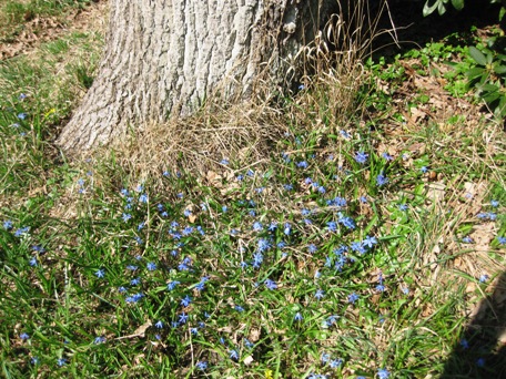 slottskogen6