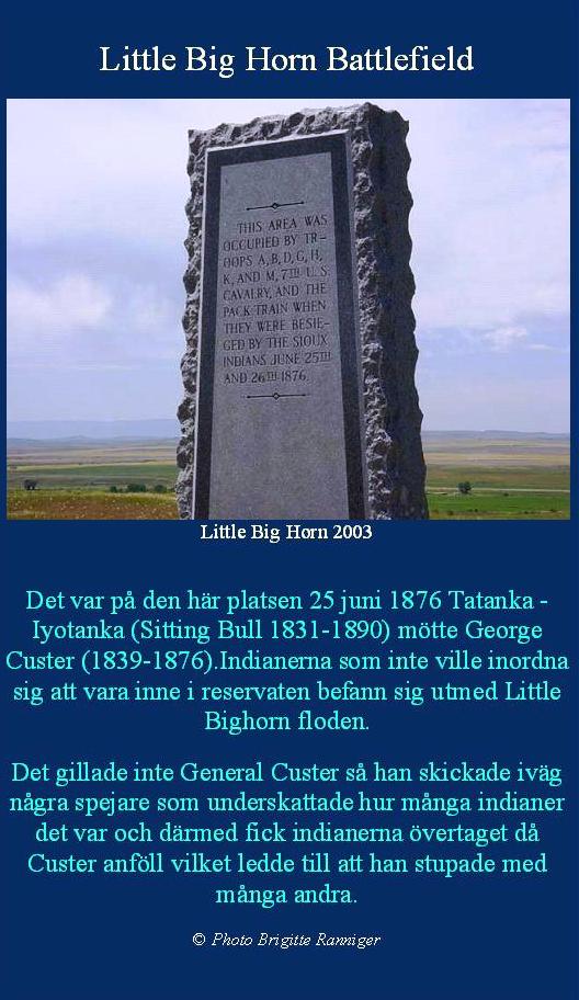 littlebighorn1