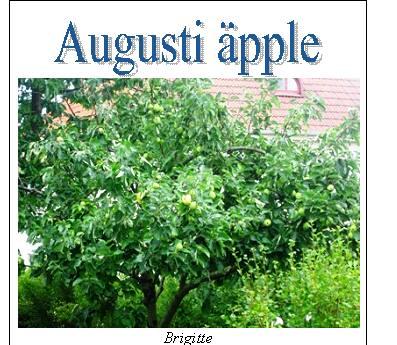 augustiapple1