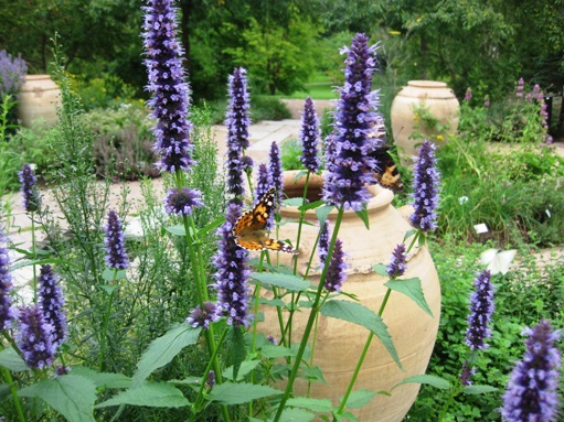 botaniska2