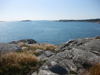 havet7