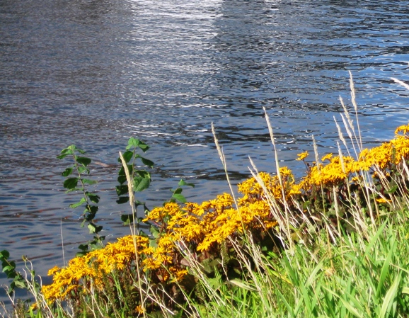 goteborg6