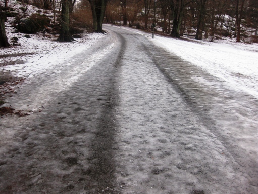 slottskogen1