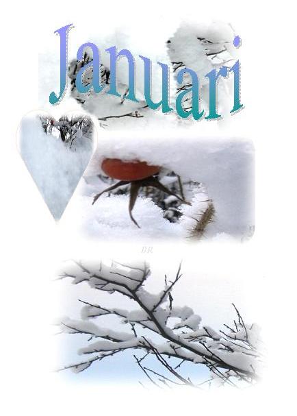 januari10