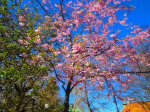 14april21