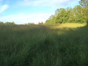 20juni080