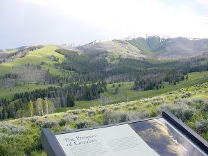 yellowstone1