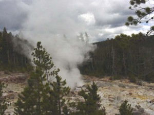 yellowstone11